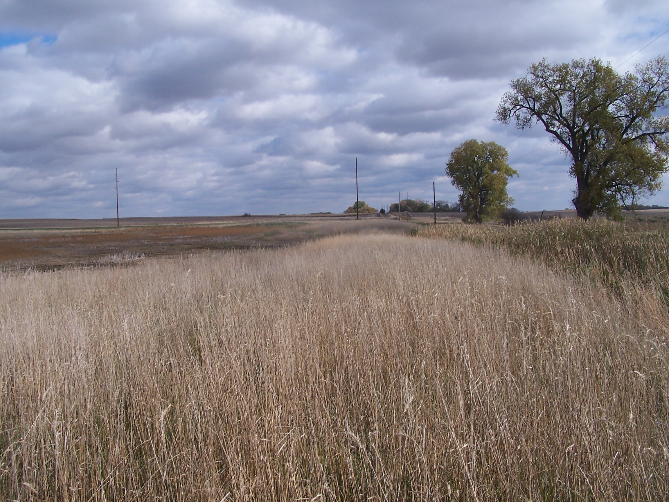 Wetland1and2After